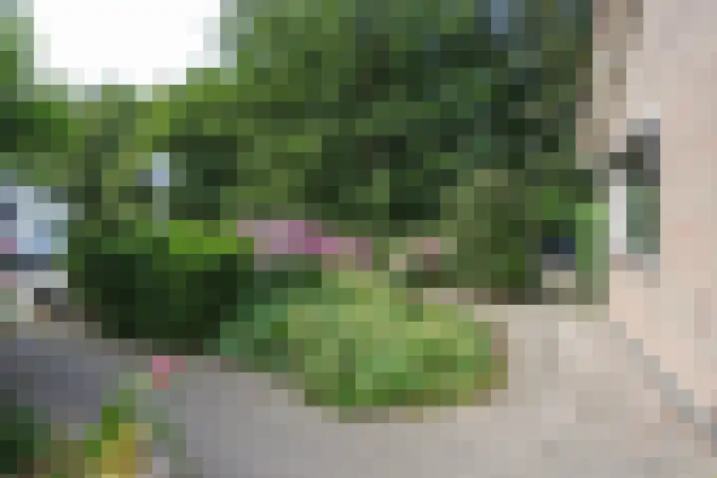 Haringweg 45 Biddinghuizen thumbnail 33