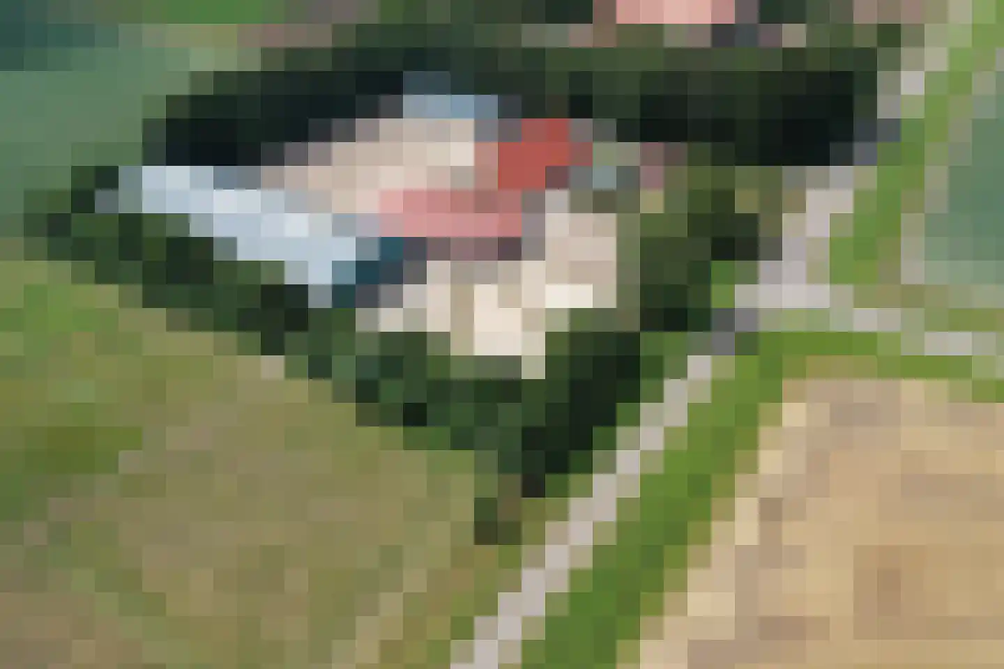 Haringweg 45 Biddinghuizen thumbnail 5