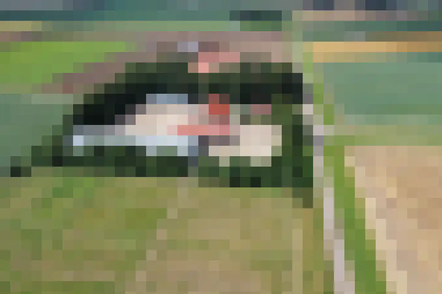 Haringweg 45 Biddinghuizen thumbnail 6