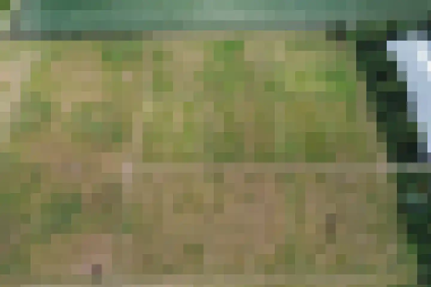 Haringweg 45 Biddinghuizen thumbnail 63