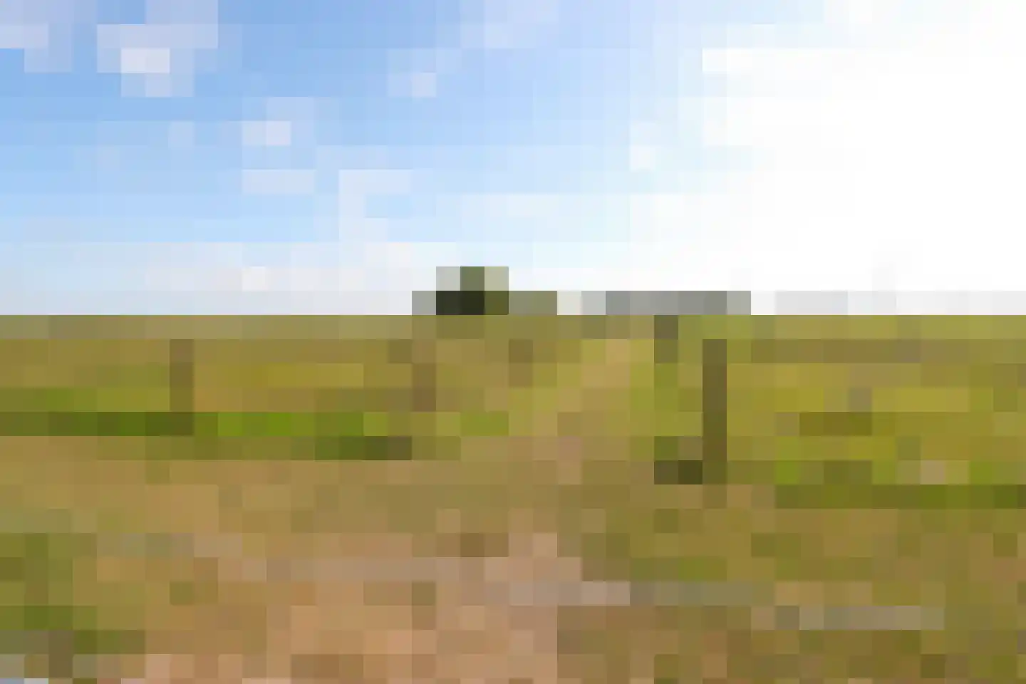 Haringweg 45 Biddinghuizen thumbnail 64
