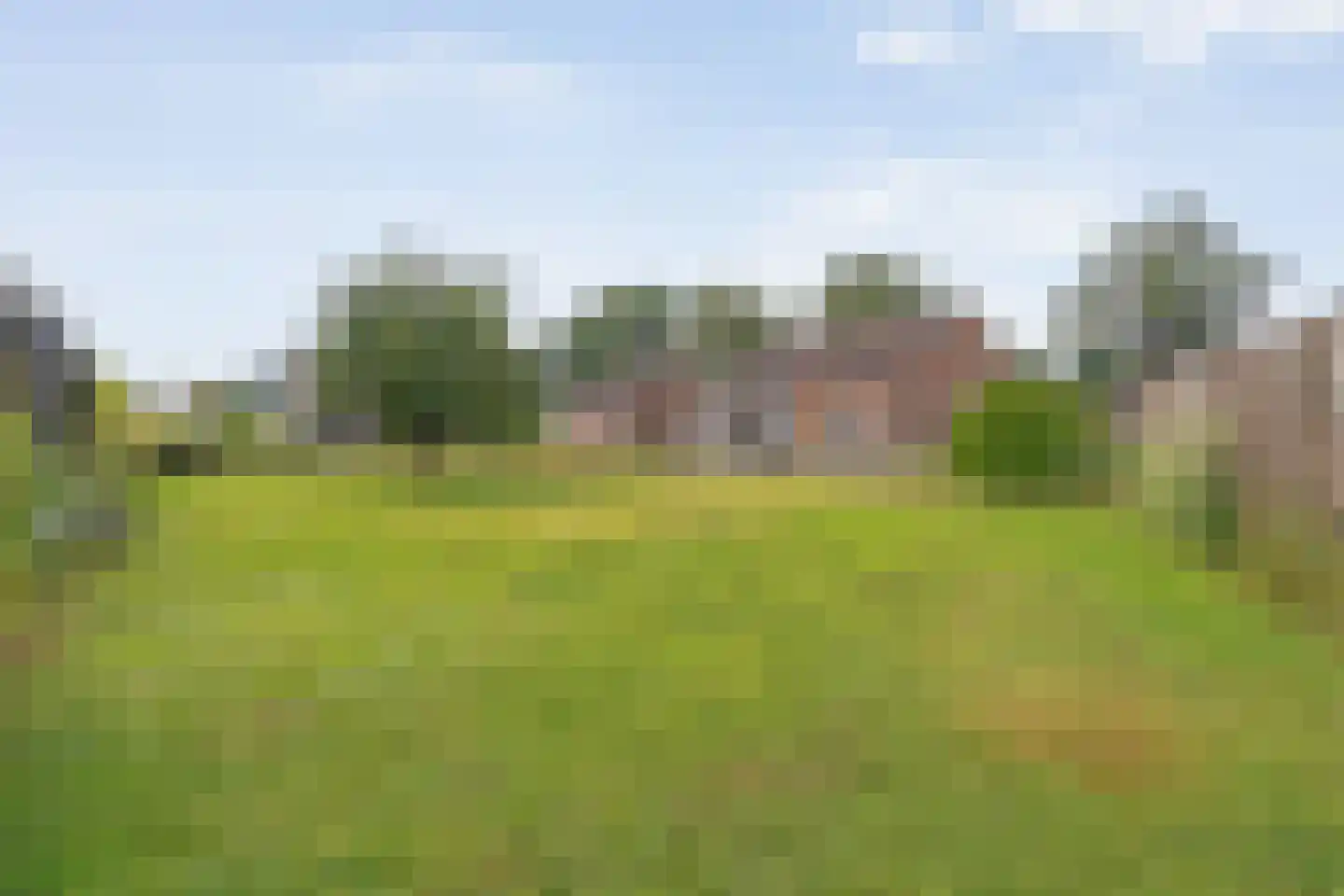 Harinkdijk 5 Raalte thumbnail 10