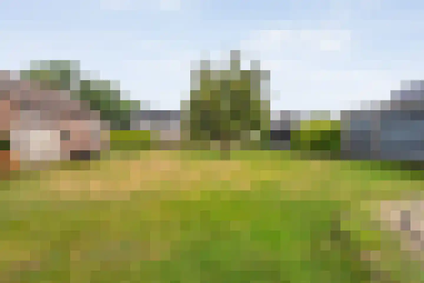 Harinkdijk 5 Raalte thumbnail 52