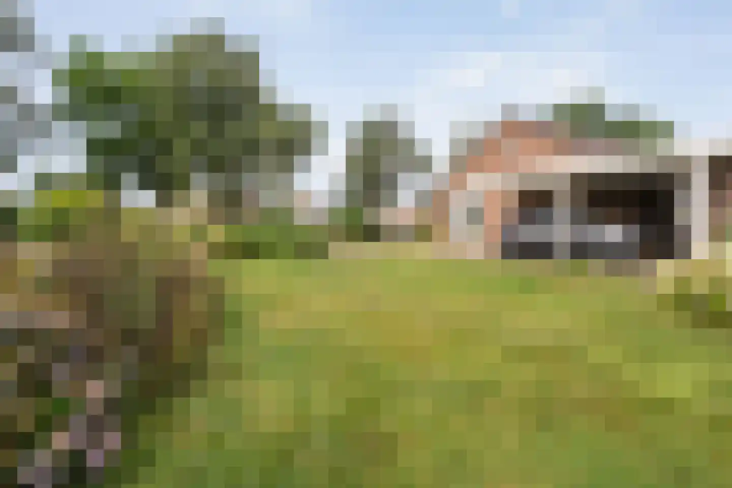 Harinkdijk 5 Raalte thumbnail 8