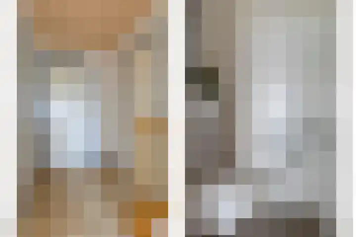 Harinxma van Donialeane 8 Stiens