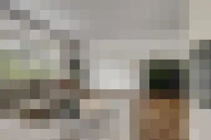 Harinxma van Donialeane 8 Stiens thumbnail 10