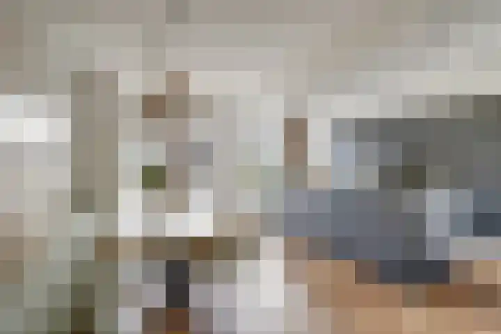 Harinxma van Donialeane 8 Stiens thumbnail 13