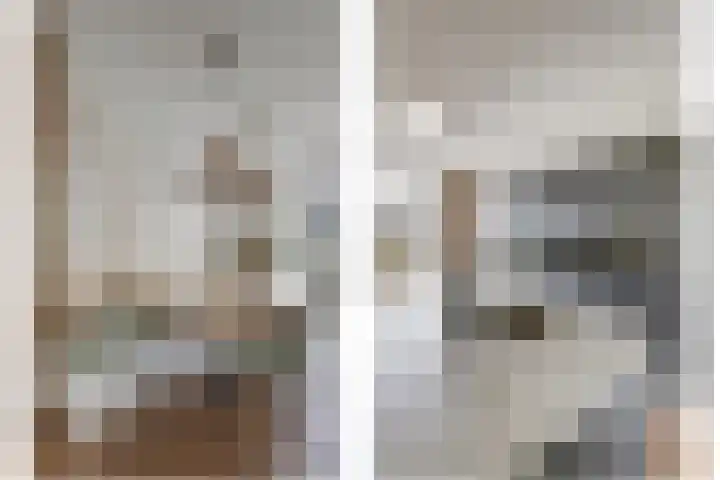 Harinxma van Donialeane 8 Stiens thumbnail 17