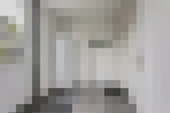 Harinxma van Donialeane 8 Stiens thumbnail 18