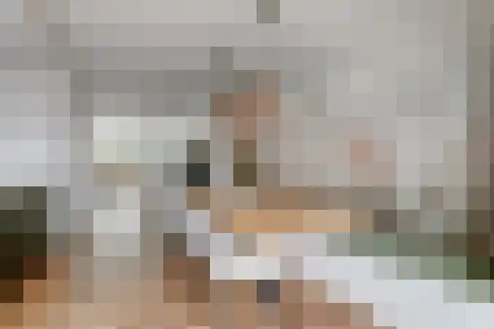 Harinxma van Donialeane 8 Stiens thumbnail 19