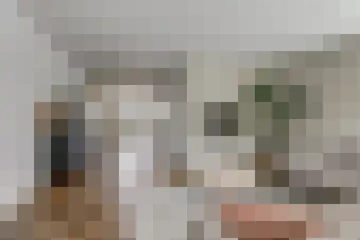 Harinxma van Donialeane 8 Stiens foto 2
