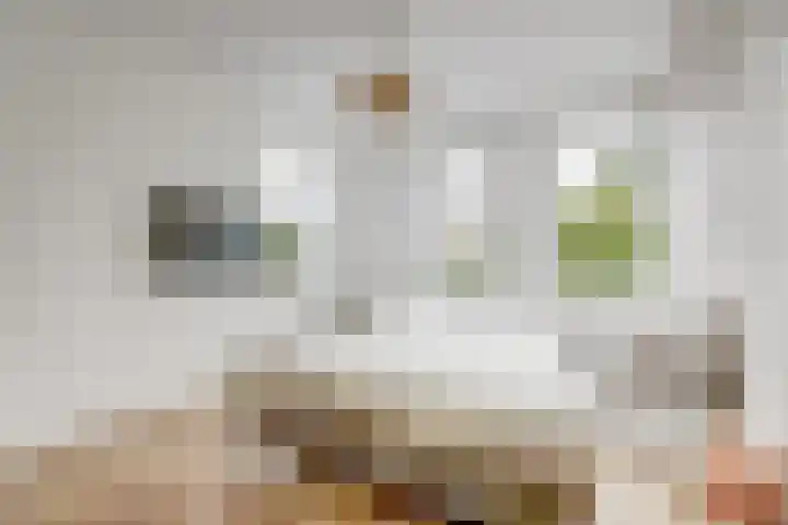 Harinxma van Donialeane 8 Stiens thumbnail 20