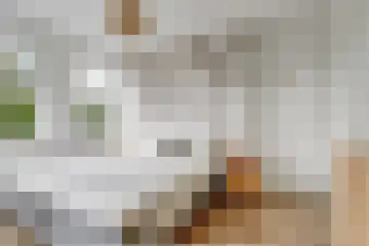 Harinxma van Donialeane 8 Stiens thumbnail 21