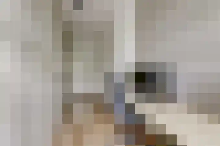 Harinxma van Donialeane 8 Stiens thumbnail 23