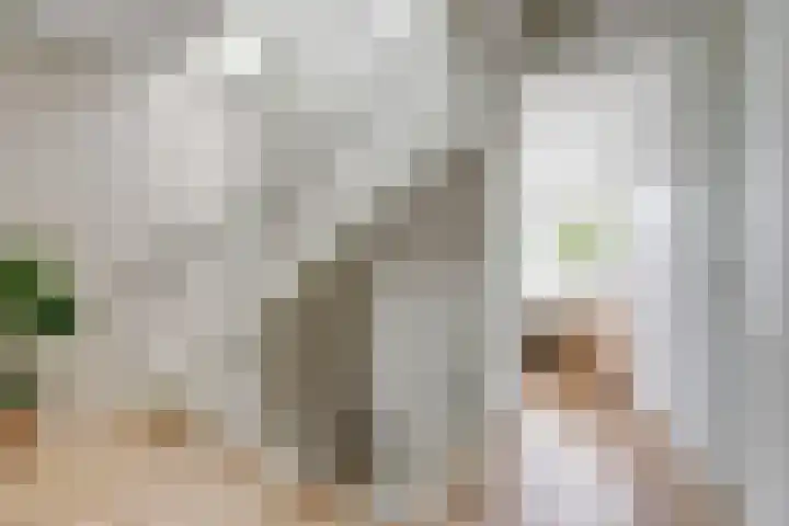 Harinxma van Donialeane 8 Stiens thumbnail 24