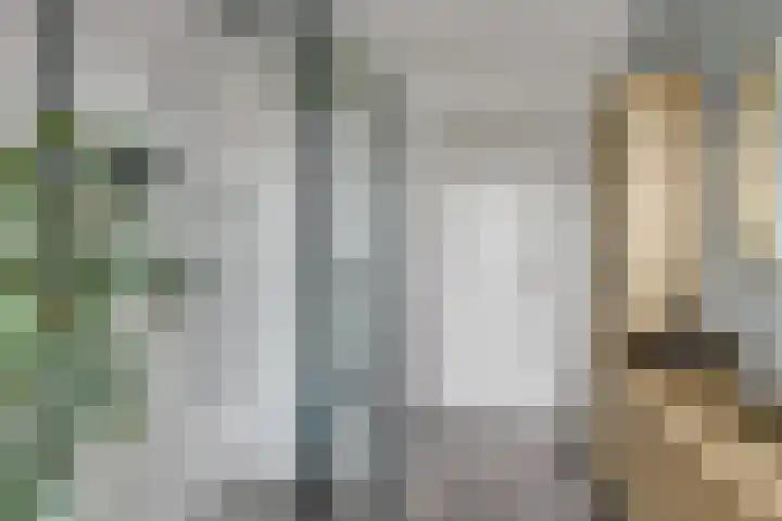 Harinxma van Donialeane 8 Stiens thumbnail 25