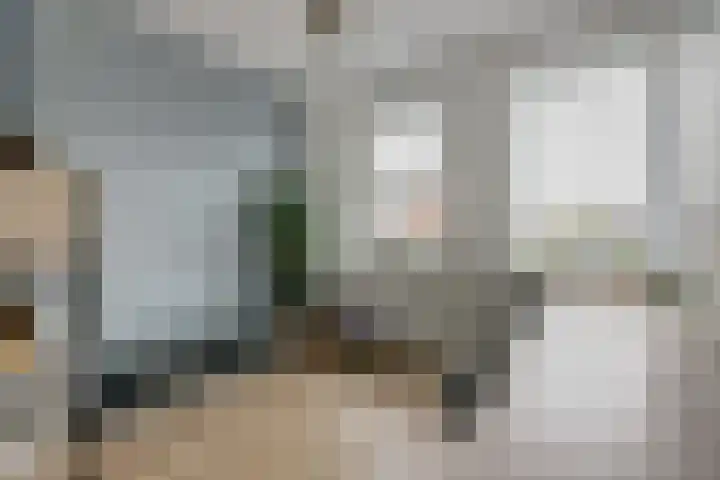 Harinxma van Donialeane 8 Stiens thumbnail 27