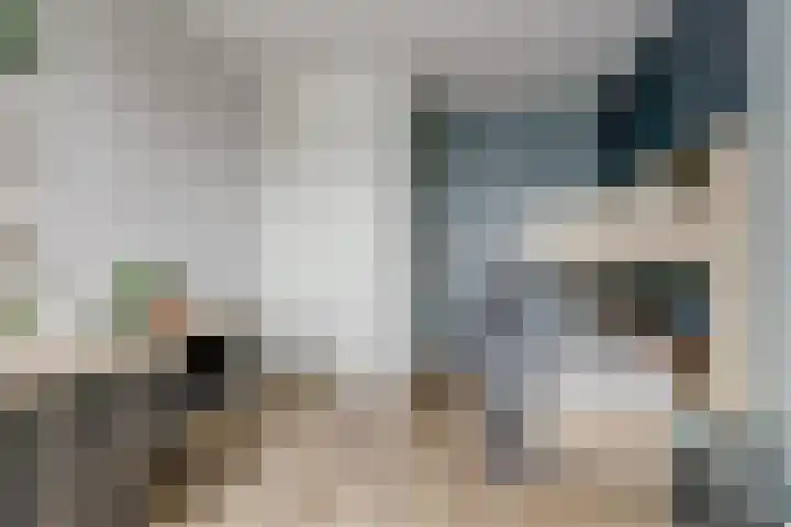 Harinxma van Donialeane 8 Stiens thumbnail 28