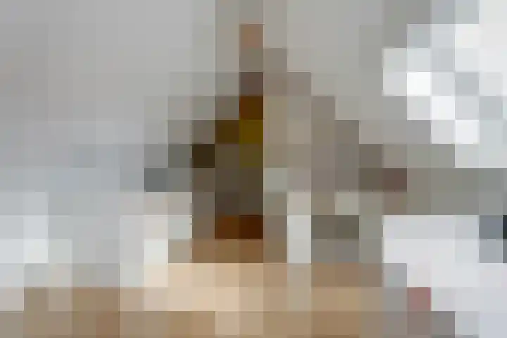 Harinxma van Donialeane 8 Stiens thumbnail 30
