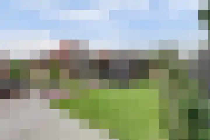 Harinxma van Donialeane 8 Stiens thumbnail 33