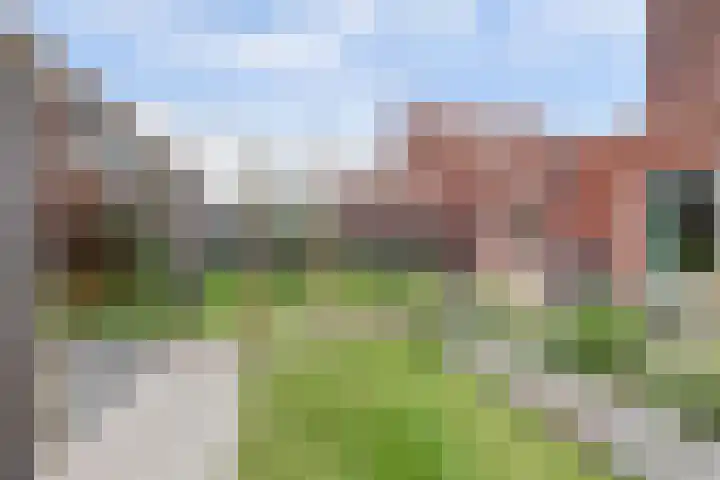 Harinxma van Donialeane 8 Stiens thumbnail 34