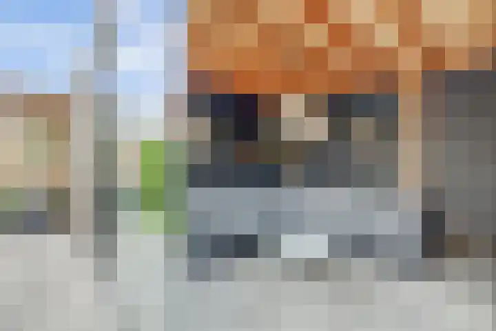 Harinxma van Donialeane 8 Stiens thumbnail 36