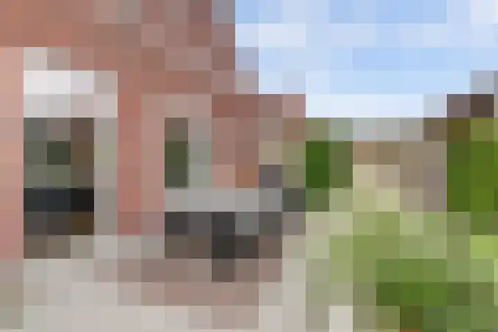 Harinxma van Donialeane 8 Stiens thumbnail 37