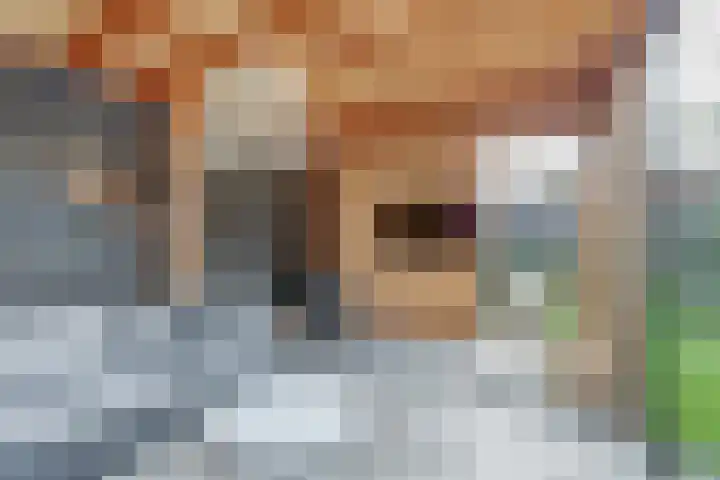 Harinxma van Donialeane 8 Stiens thumbnail 4