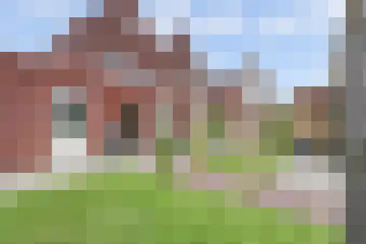 Harinxma van Donialeane 8 Stiens thumbnail 5