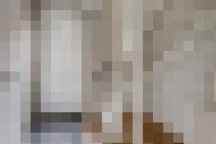 Harinxma van Donialeane 8 Stiens thumbnail 7