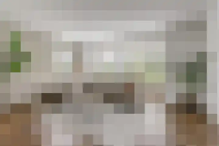 Harinxma van Donialeane 8 Stiens thumbnail 9