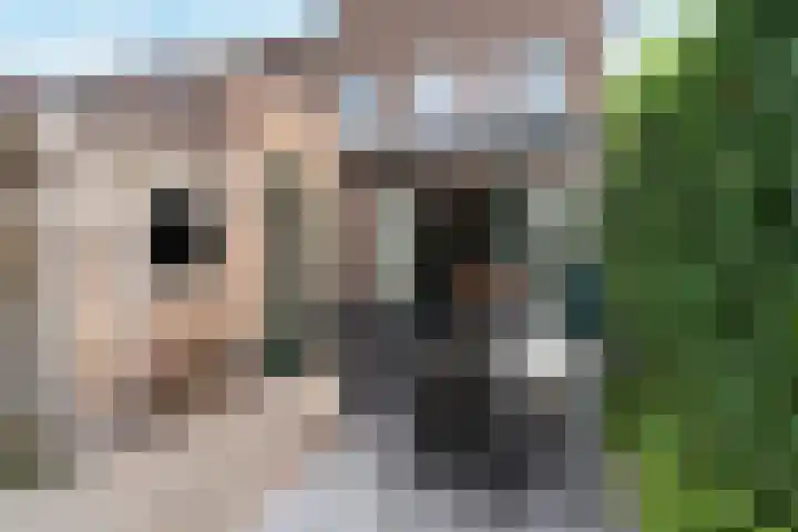 Harinxmakade 4 Sneek thumbnail 26
