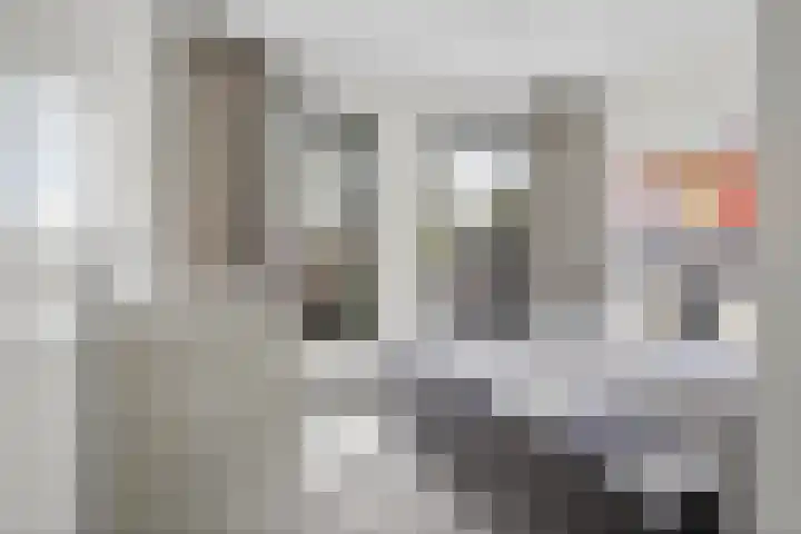 Harinxmakade 4 Sneek thumbnail 30