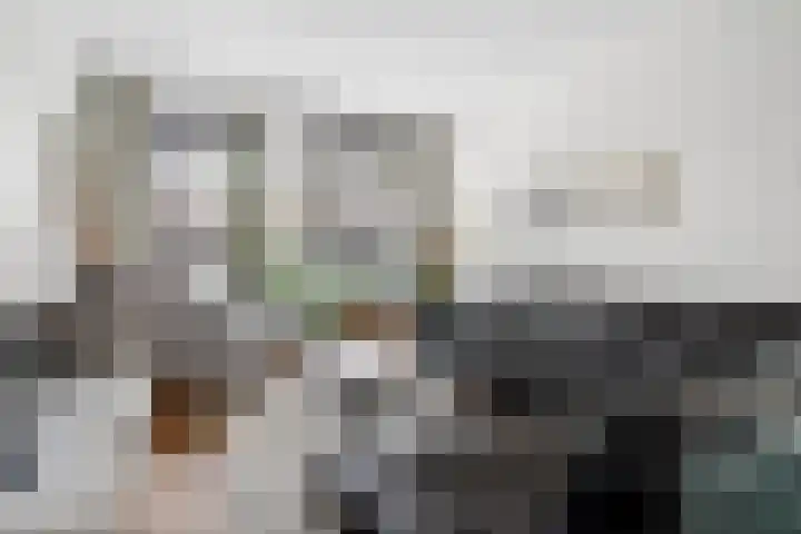 Harinxmakade 4 Sneek thumbnail 8