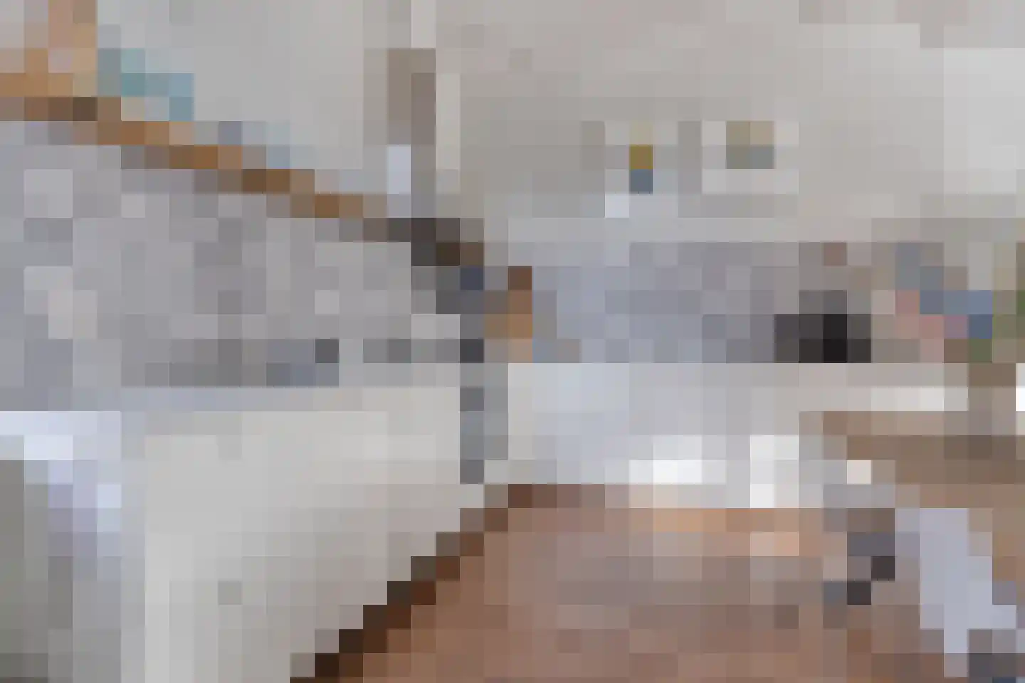 Harinxmakade 46 Sneek thumbnail 10