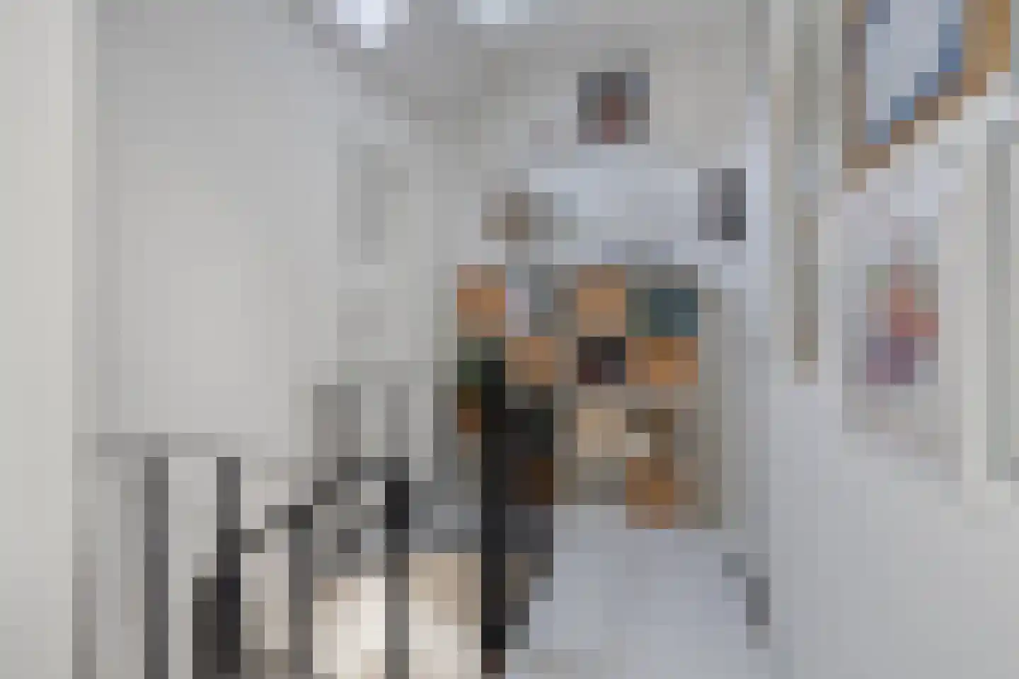 Harinxmakade 46 Sneek thumbnail 14