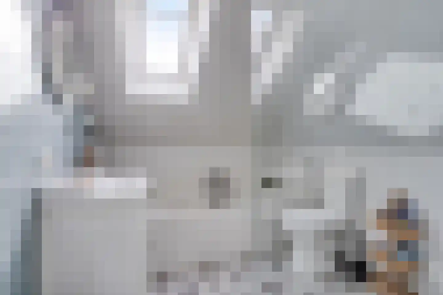 Harinxmakade 46 Sneek thumbnail 17