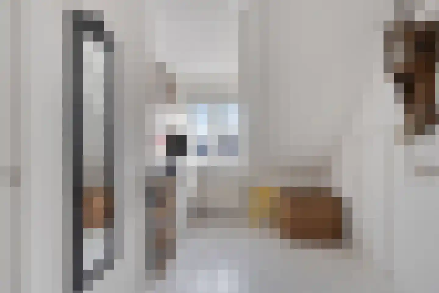 Harinxmakade 46 Sneek thumbnail 22