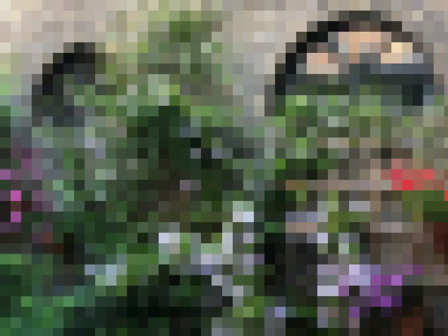 Harinxmakade 46 Sneek thumbnail 27