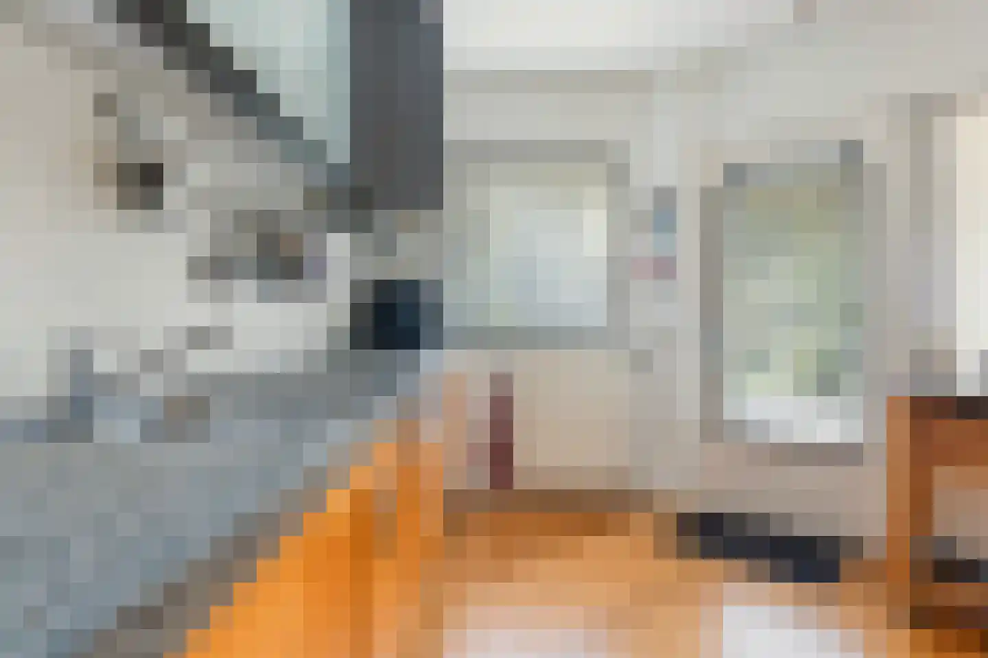 Harinxmastrjitte 34 Heeg thumbnail 22