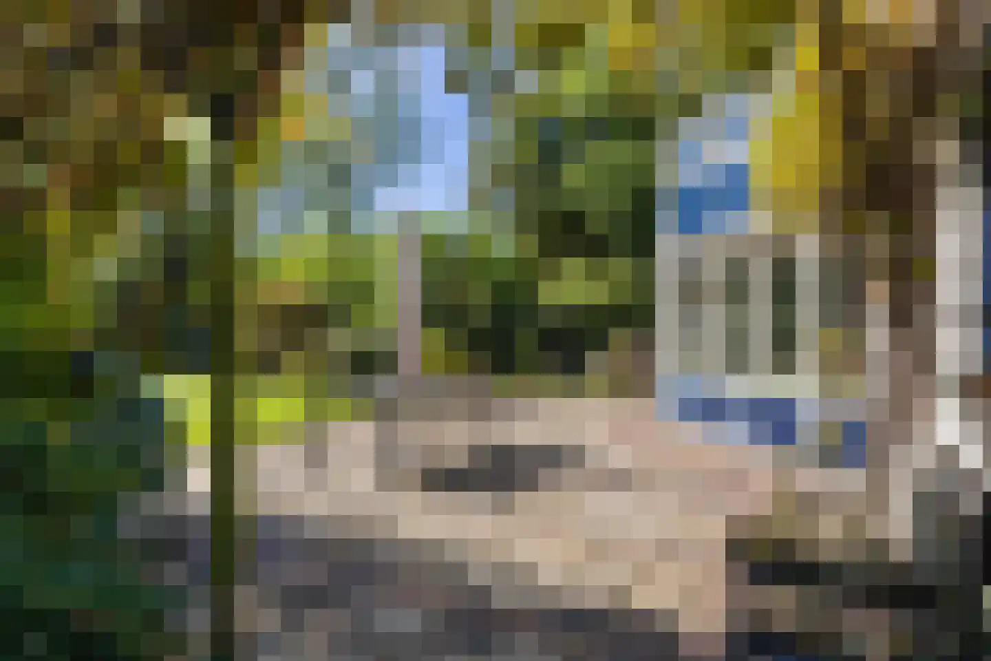 Harinxmastrjitte 34 Heeg thumbnail 38