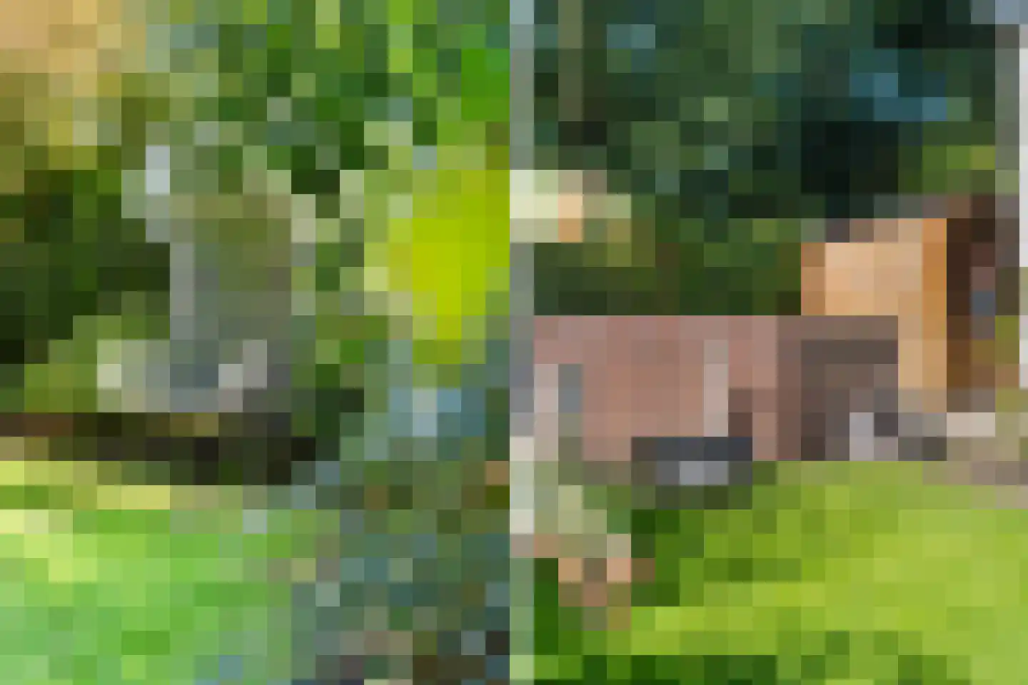 Harinxmastrjitte 34 Heeg thumbnail 41