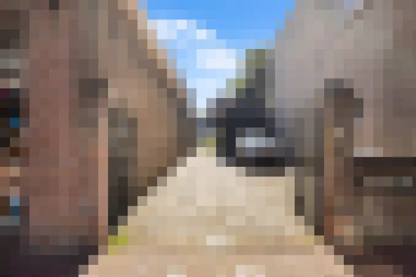 Harinxmastrjitte 34 Heeg thumbnail 56
