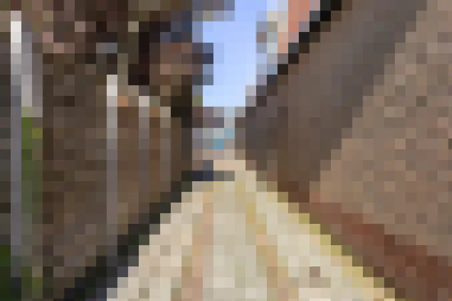 Harinxmastrjitte 34 Heeg thumbnail 57