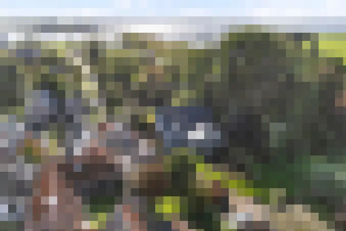 Harinxmastrjitte 34 Heeg thumbnail 61