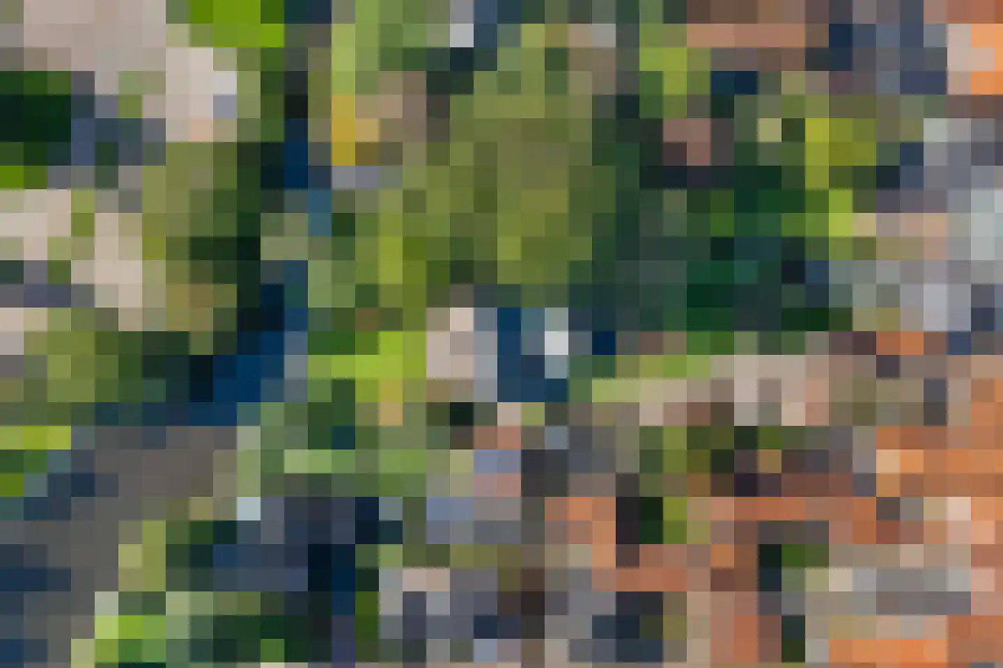 Harinxmastrjitte 34 Heeg thumbnail 64
