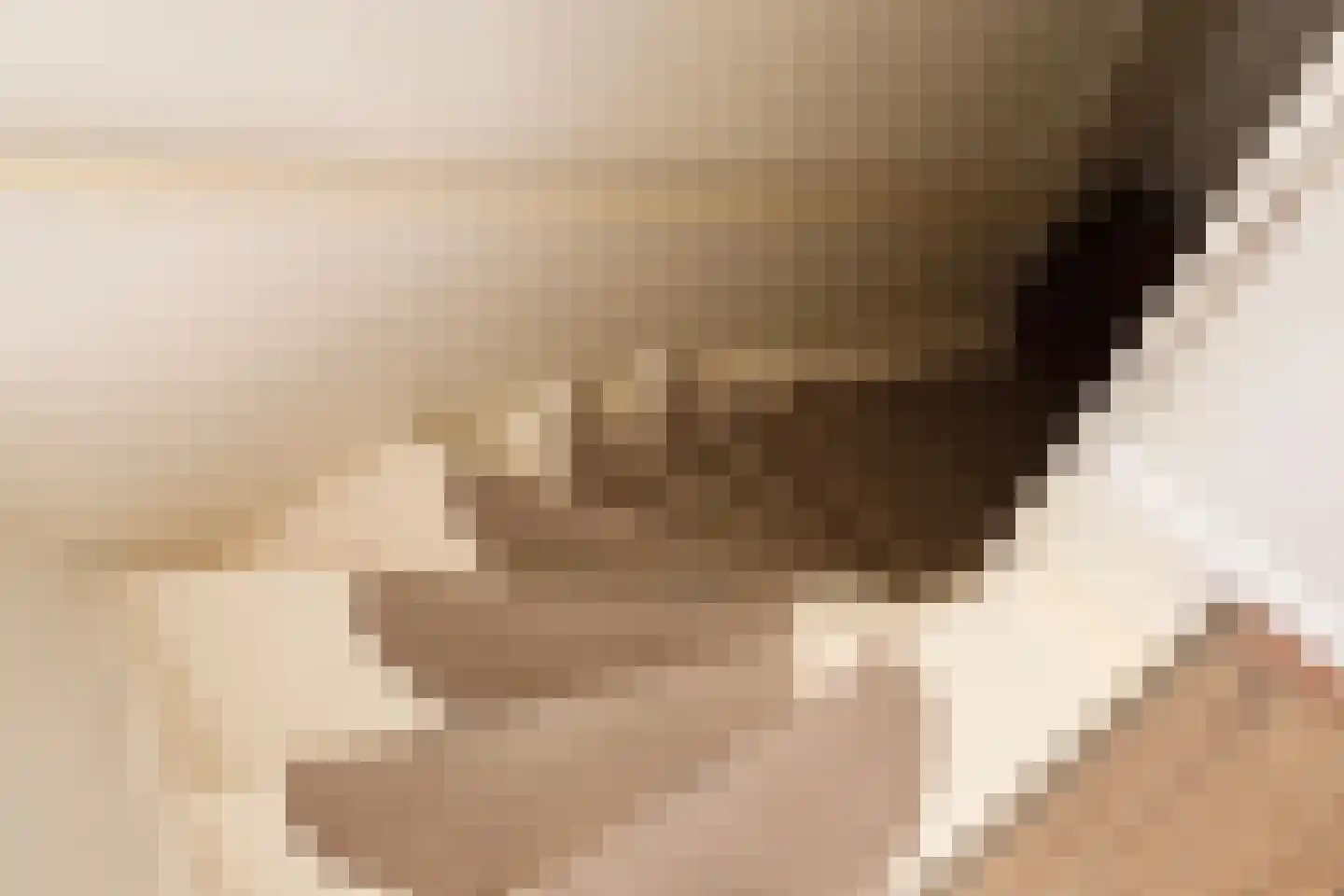 Harinxmastrjitte 52 Heeg thumbnail 12