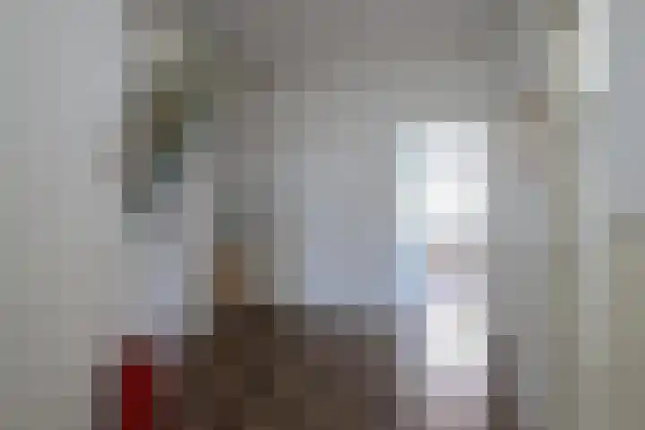 Harinxmastrjitte 52 Heeg thumbnail 14