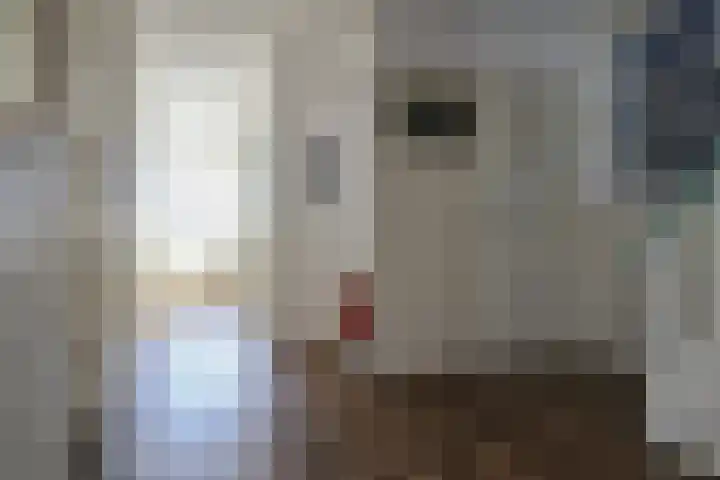 Harinxmastrjitte 52 Heeg thumbnail 25