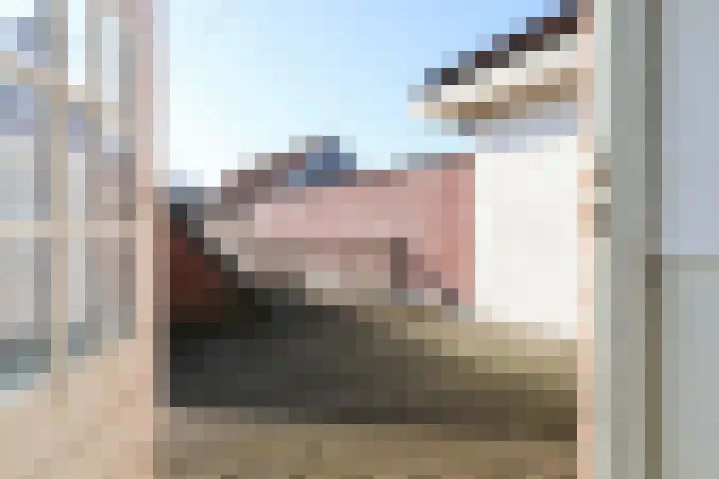 Harinxmastrjitte 52 Heeg thumbnail 26